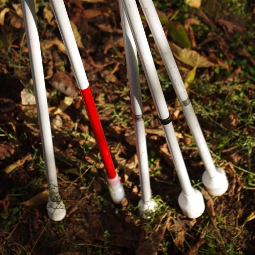 Grafika Przedstawia Białe Laski Na Tle Trawy 