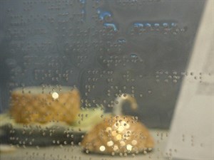 Brajl Na Folii - Muzeum Szlachty Mazowieckiej