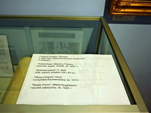 Brajl Na Folii Na Czarnodruku Muzeum Szlachty Mazowieckiej
