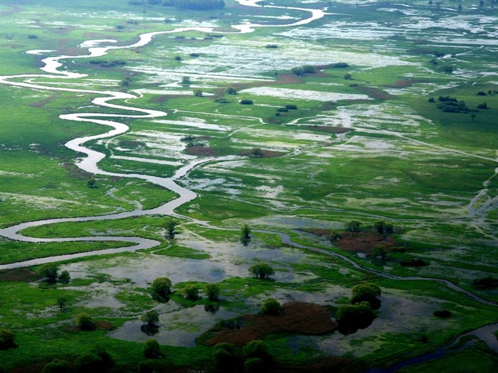 Narwianski Park Narodowy